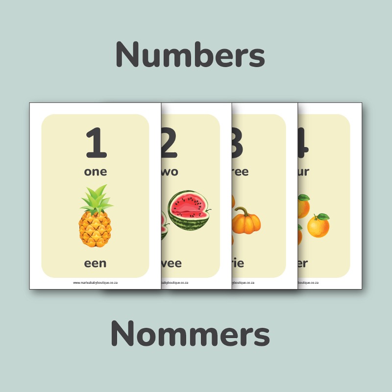 130-set Flash Cards in English & Afrikaans - Image 2